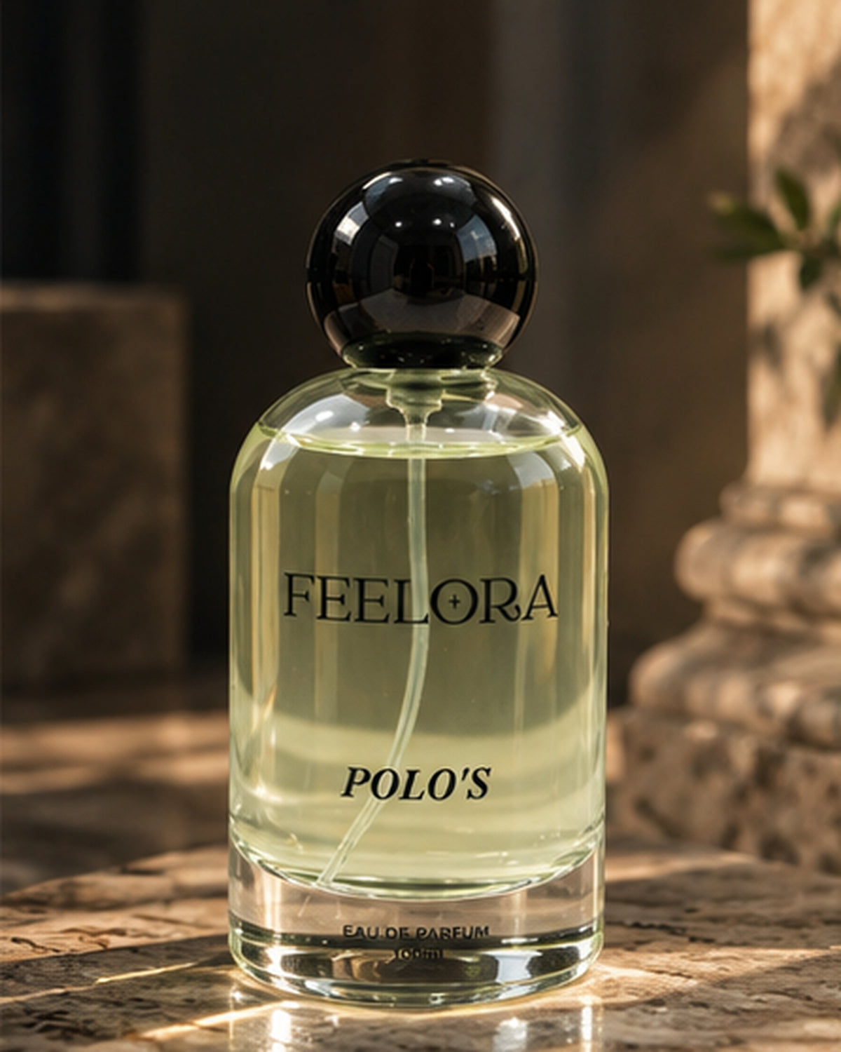 Feelora Polo's Eau de Parfum - Fresh Sporty Aquatic Parfum, 100 ML