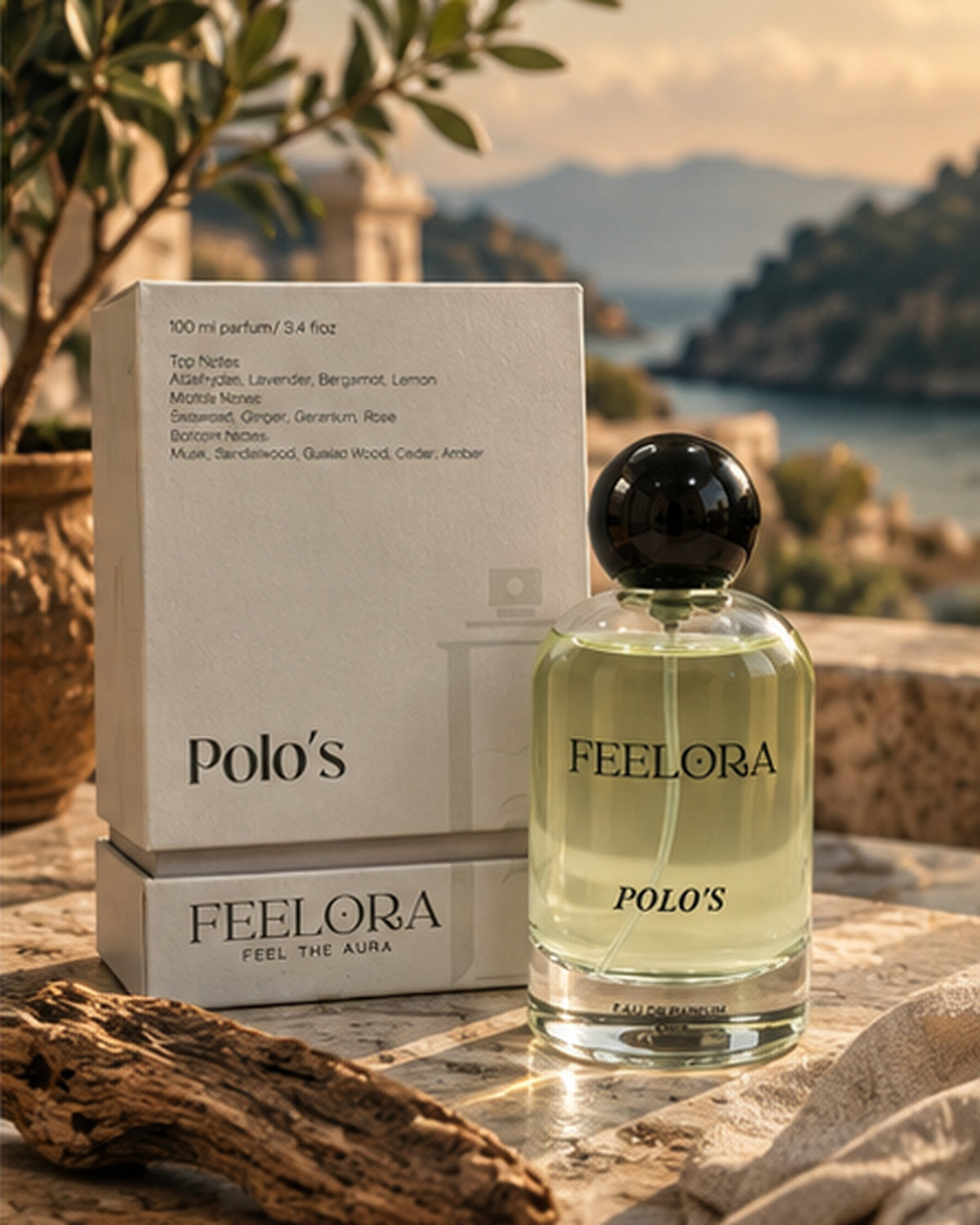 Feelora Polo's Eau de Parfum - Fresh Sporty Aquatic Parfum, 100 ML